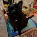 DSC00006 (640x480)