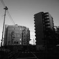 社会主義政党が結党(日本初) 1901年5月18日