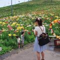 こっち向いて