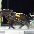 ライデンティダ レース(16/10/30・9R)