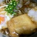 たぬき