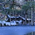 雪の兼六園 唐崎松