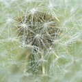 未知の世界(鍵穴の中)