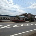 向かい側のツツジ(5月30日)