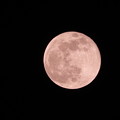 210427_24R_ピンクムーン・多重露光・RX10M3(近隣) (1)
